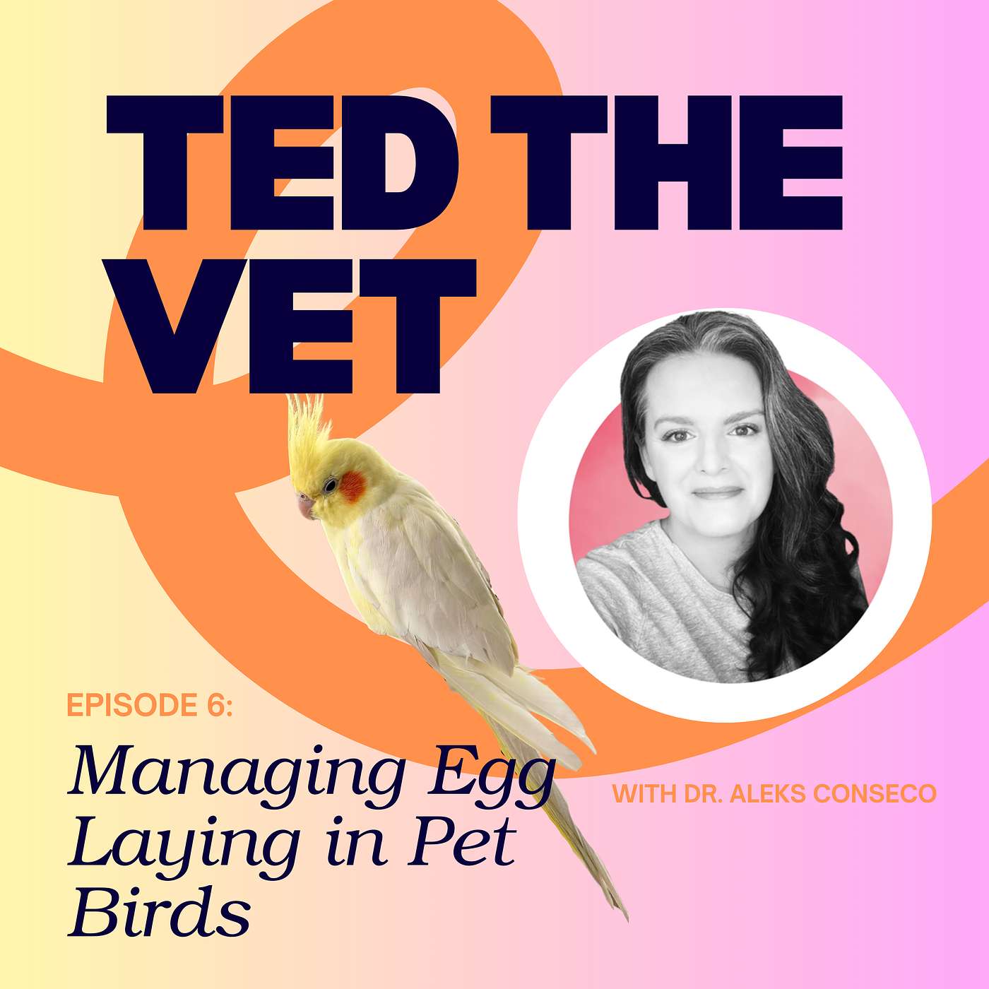 Ted The Vet : Expert Advice and Insightful Tips to Care for your Pets
