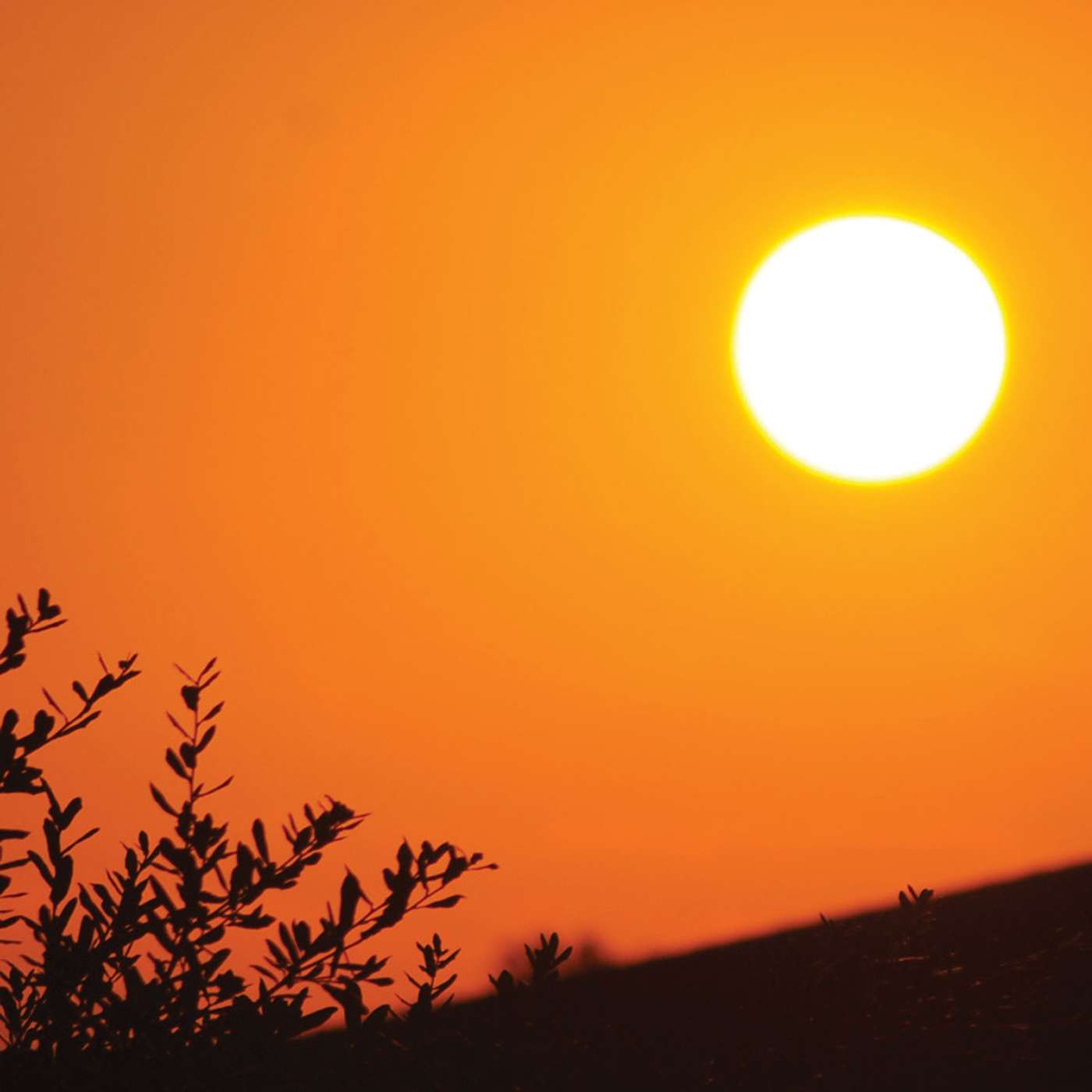 Here Comes The Sun: Sunshine and its Effects on Health, Sleep and Memory episode artwork