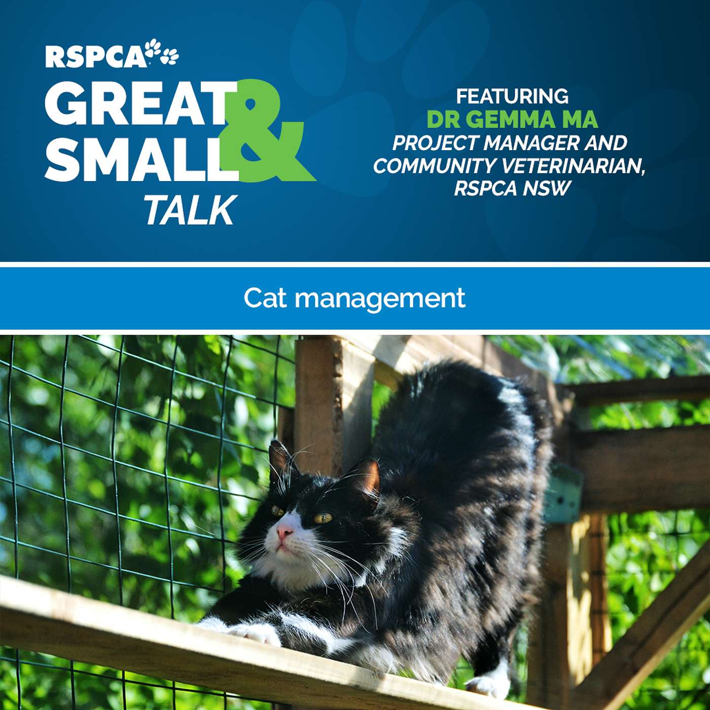 RSPCA Australia\'s Great & Small Talk
