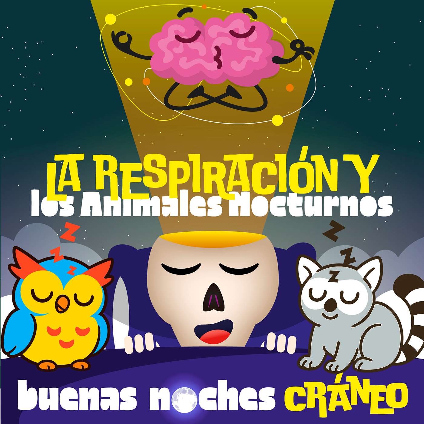 Respiración y Animales Nocturnos (calma) episode artwork