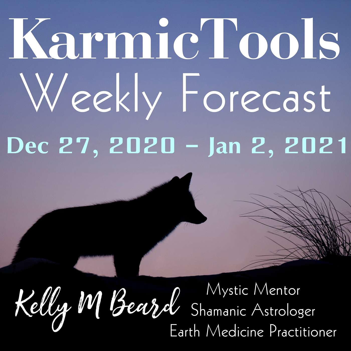 Dec 27 - Jan 2, 2021 KarmicTools Weekly Forecast