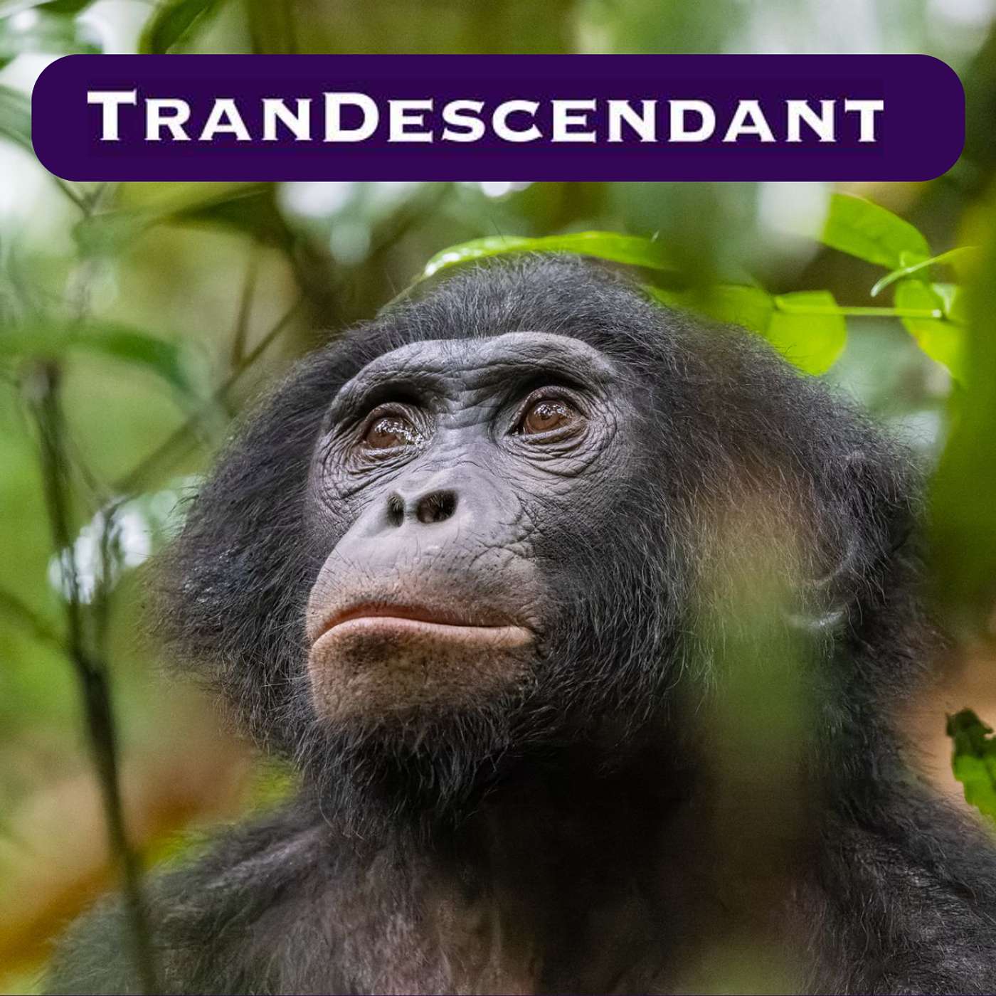 We Asked a Scientist If Being Gay Is Natural