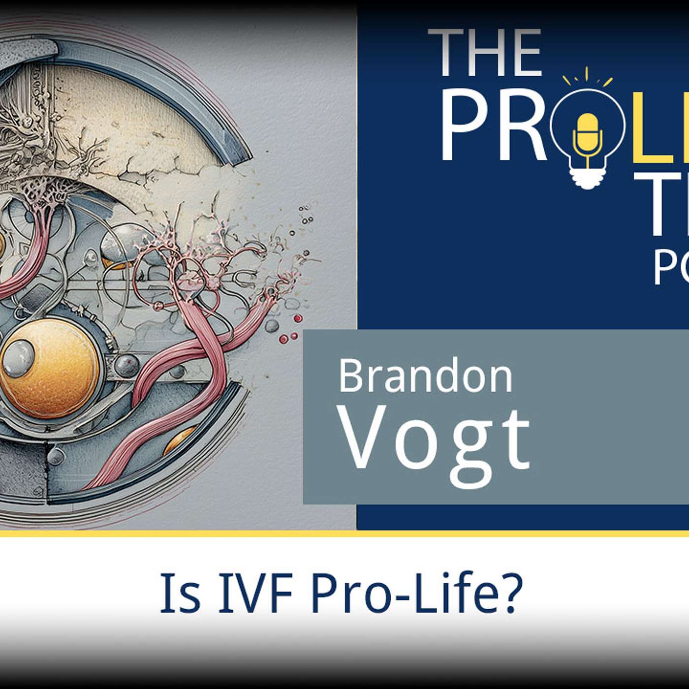 The ProLife Team Podcast 185 | Brandon Vogt – Is IVF Pro-Life? episode artwork