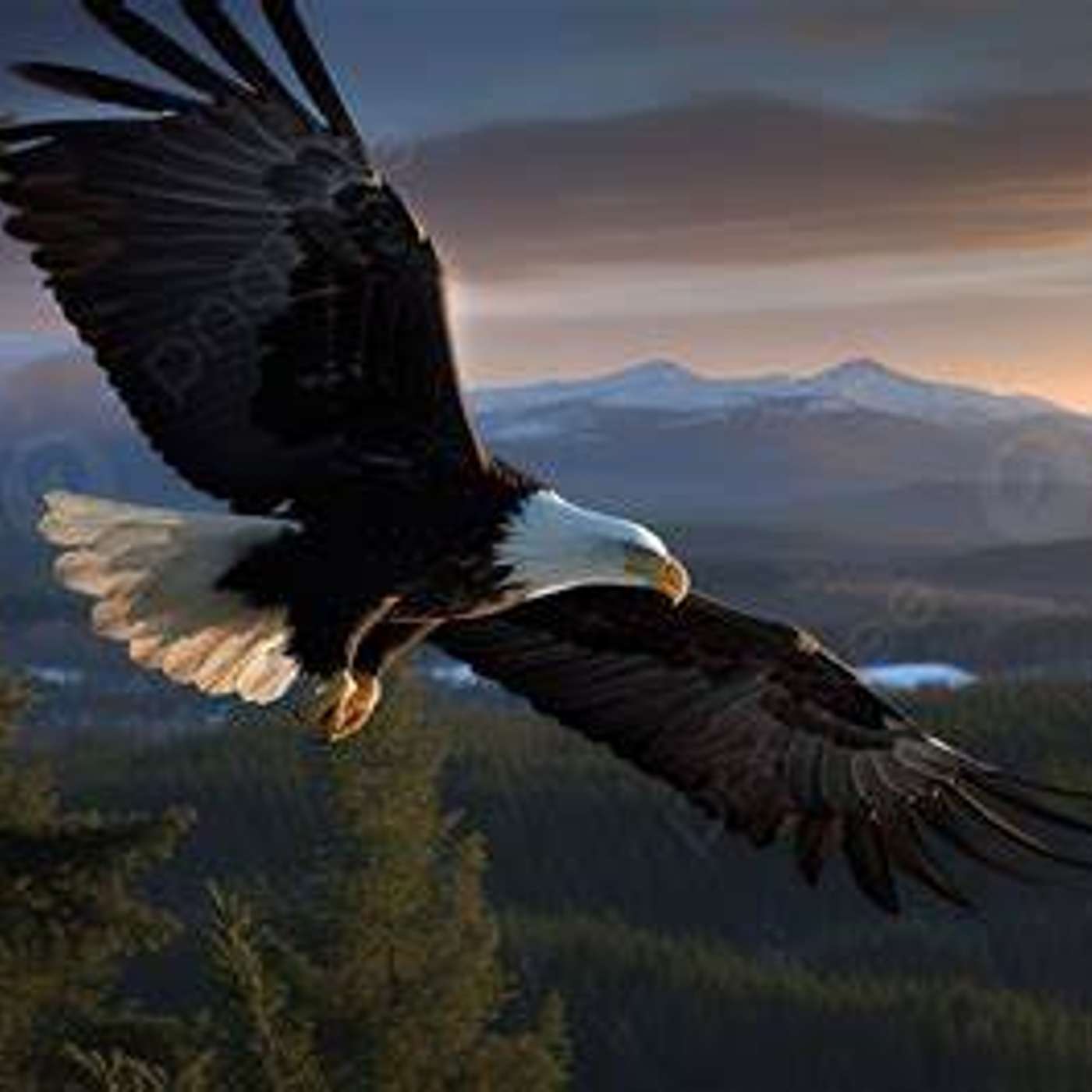 🎙️📖🕊️Awake NOT Woke [is a] Ministry in Motion - Where faith meets fire, and obedience becomes a lifestyle.