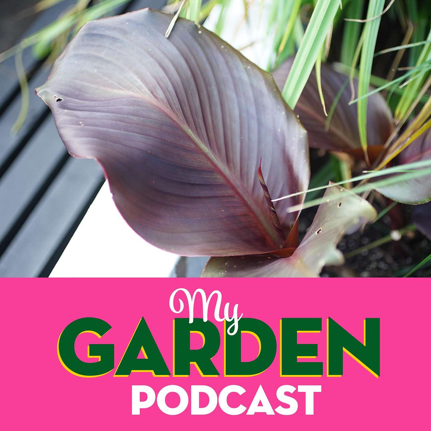 My Garden Podcast - Gardening Podcast