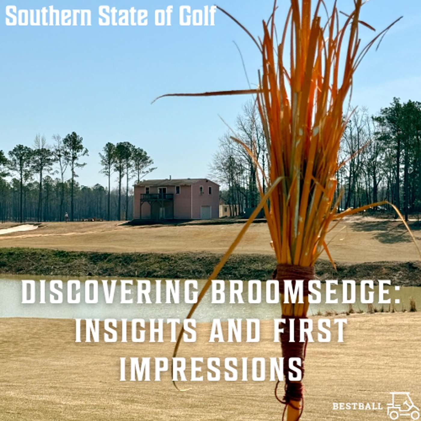 Discovering Broomsedge: Insights and First Impressions