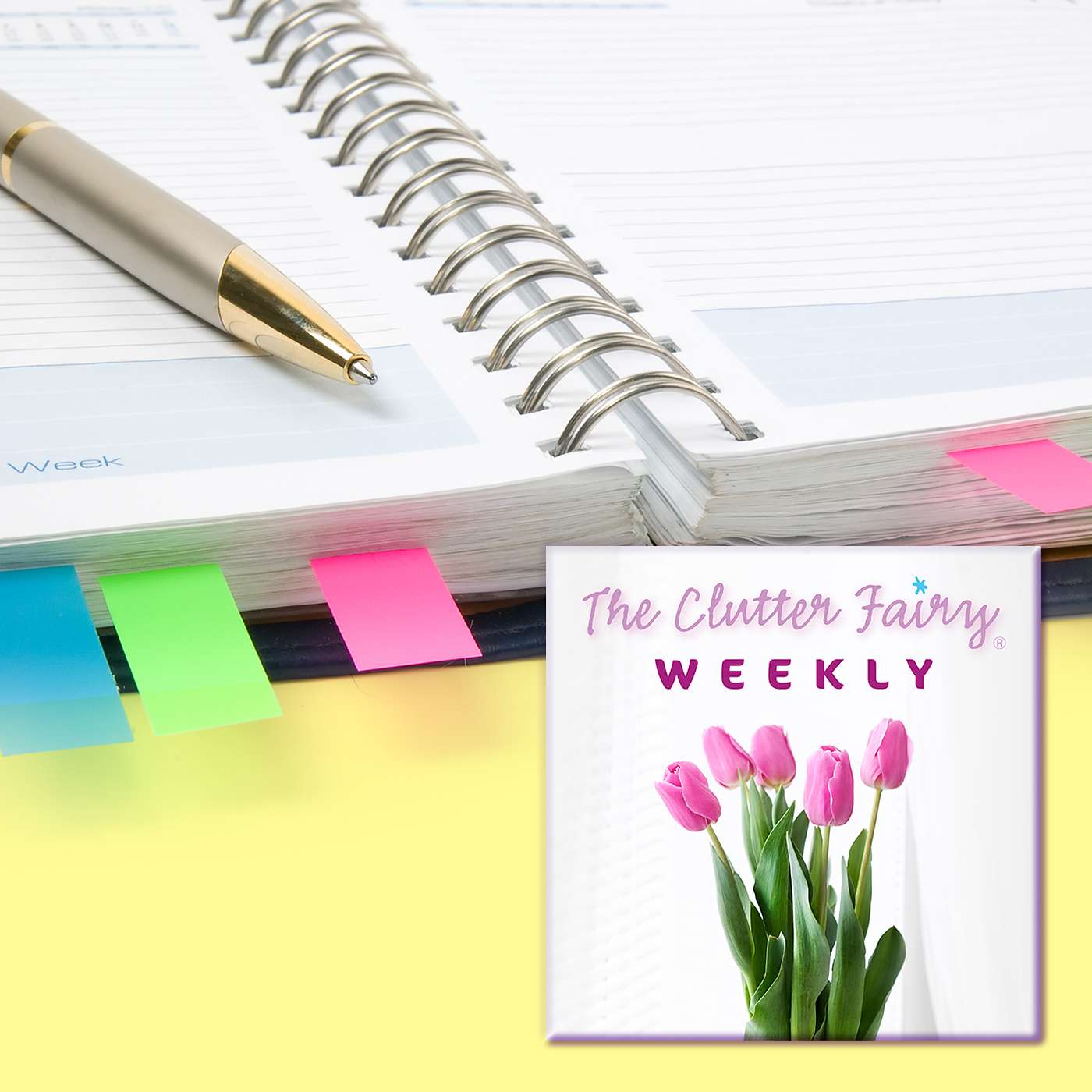 The Clutter Fairy Weekly #2 – Organizing with a planner | Story-editing & small habits recap | “One in, one out”