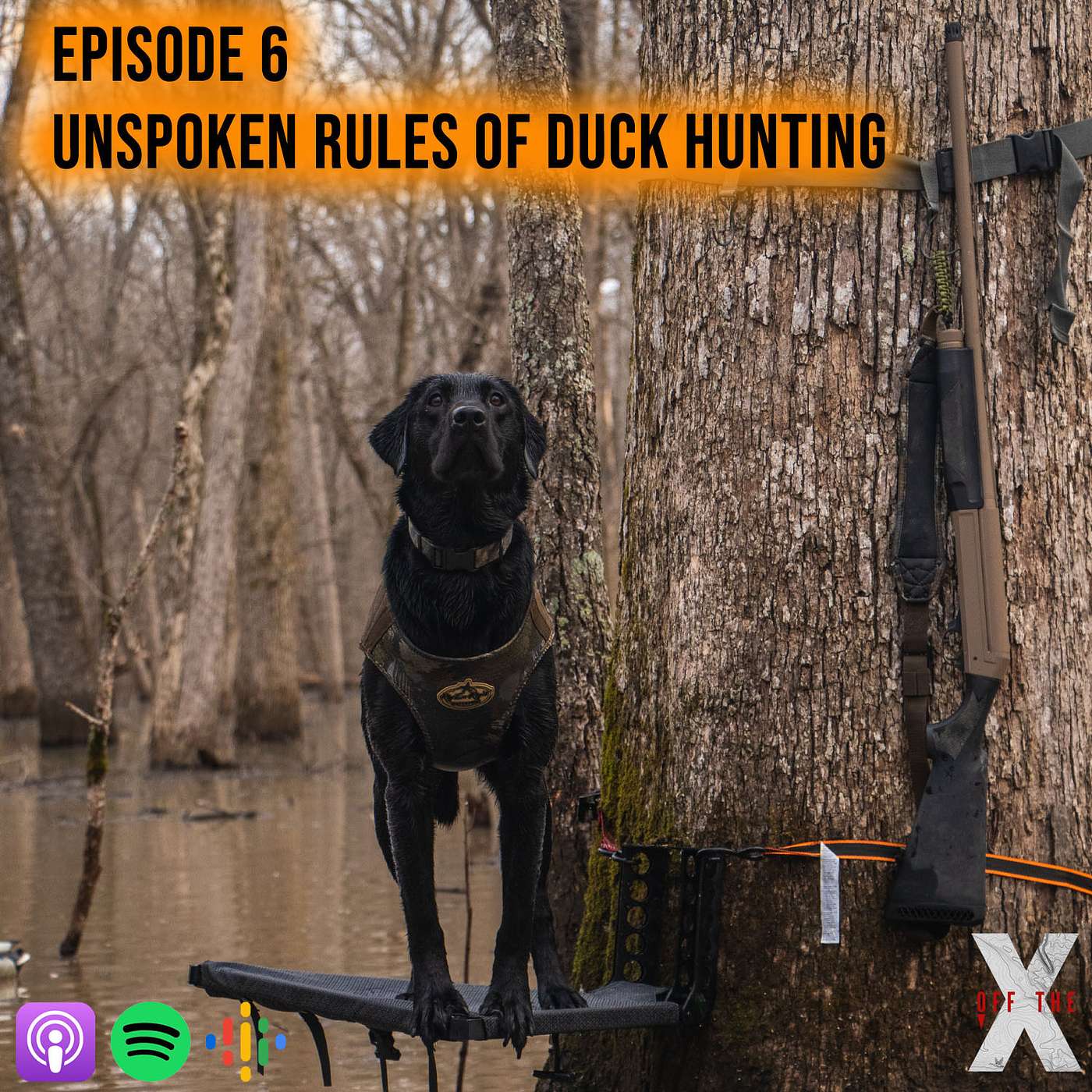 Unspoken Rules of Duck Hunting
