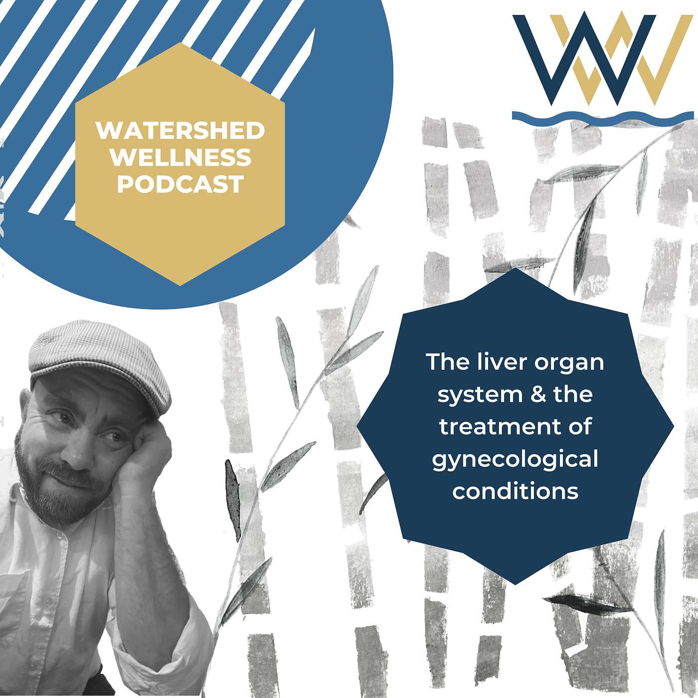 The liver organ system & the treatment of gynecological conditions