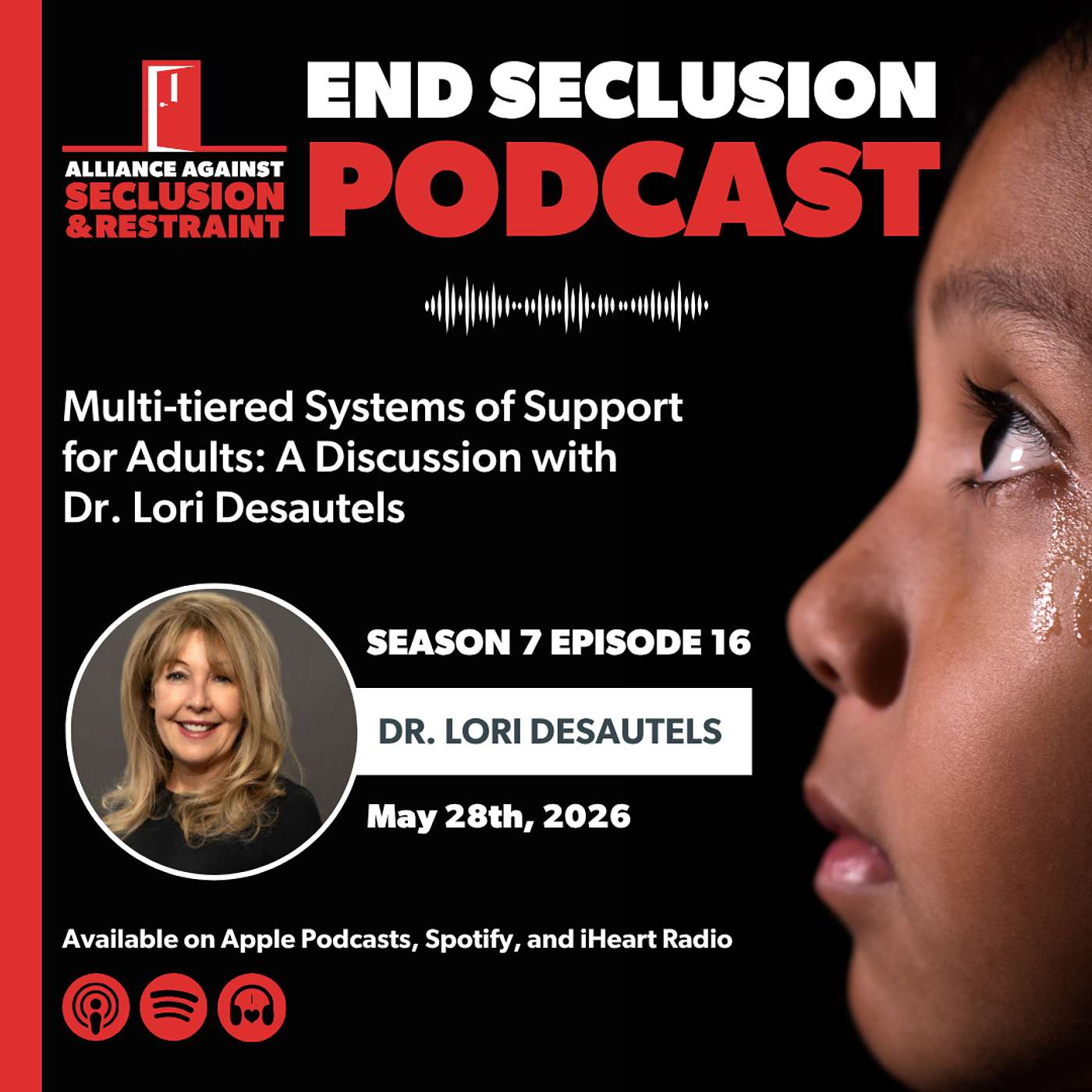 Multi-tiered Systems of Support for Adults: A Discussion with Dr. Lori Desautels episode artwork