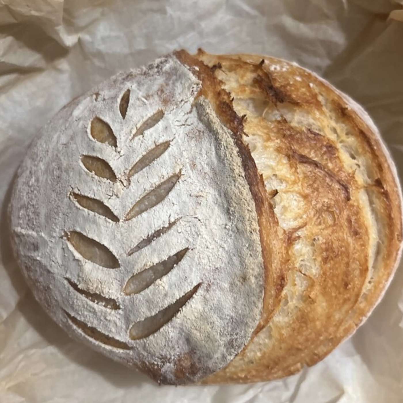 Sourdough! Struggles, Structure, Stressing and Success.. With Scripture Sprinkled In.