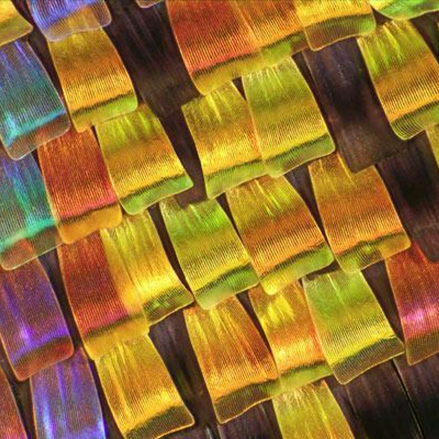 Conscious Living Conscious Dying 13 - Death - Giving and Taking Back Energy