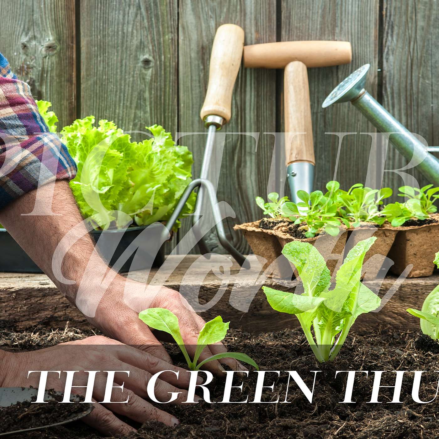 A Green Thumb