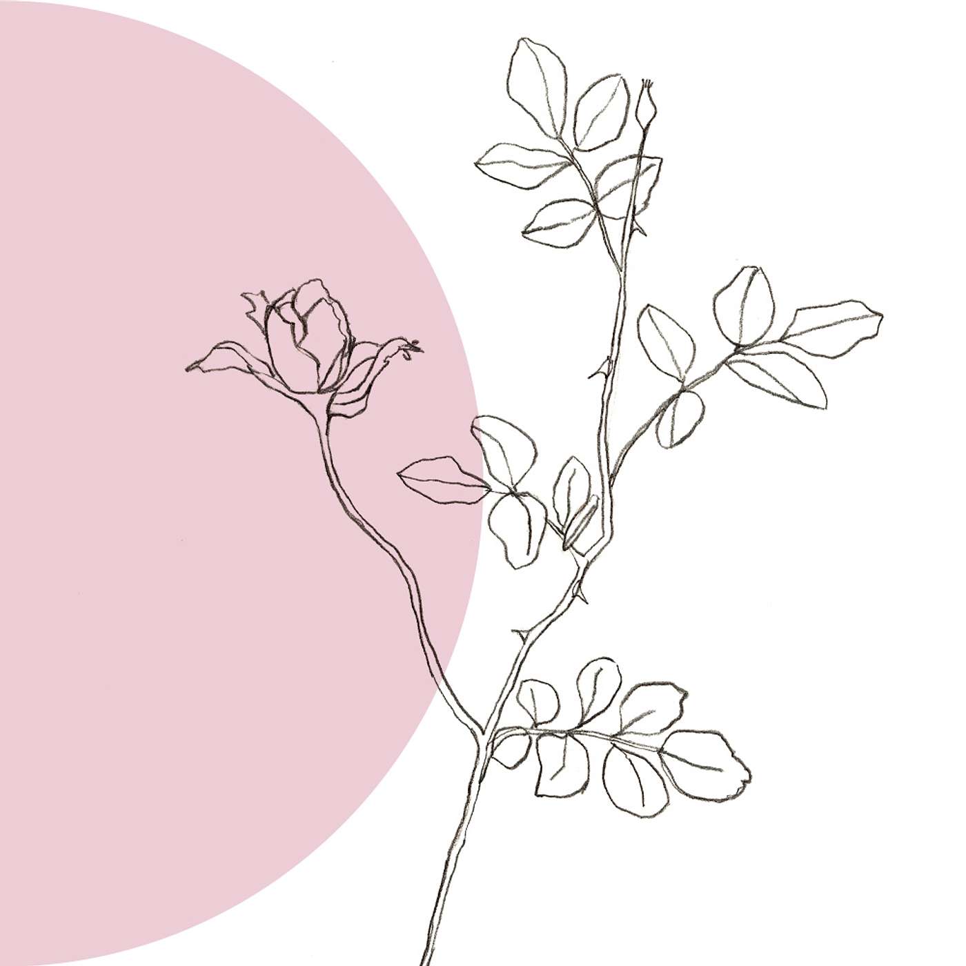 Gratitude Blooming Podcast