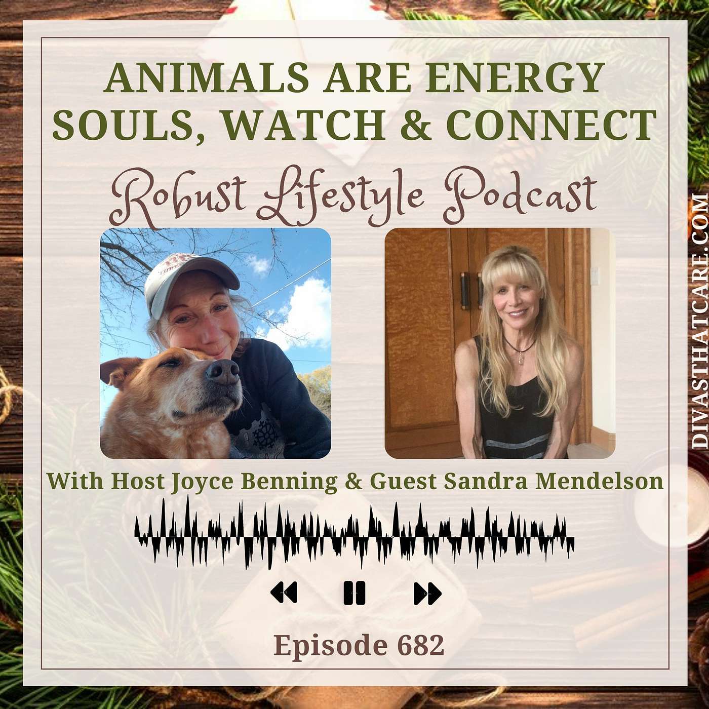 Animals are Energy Souls, Watch & Connect episode artwork