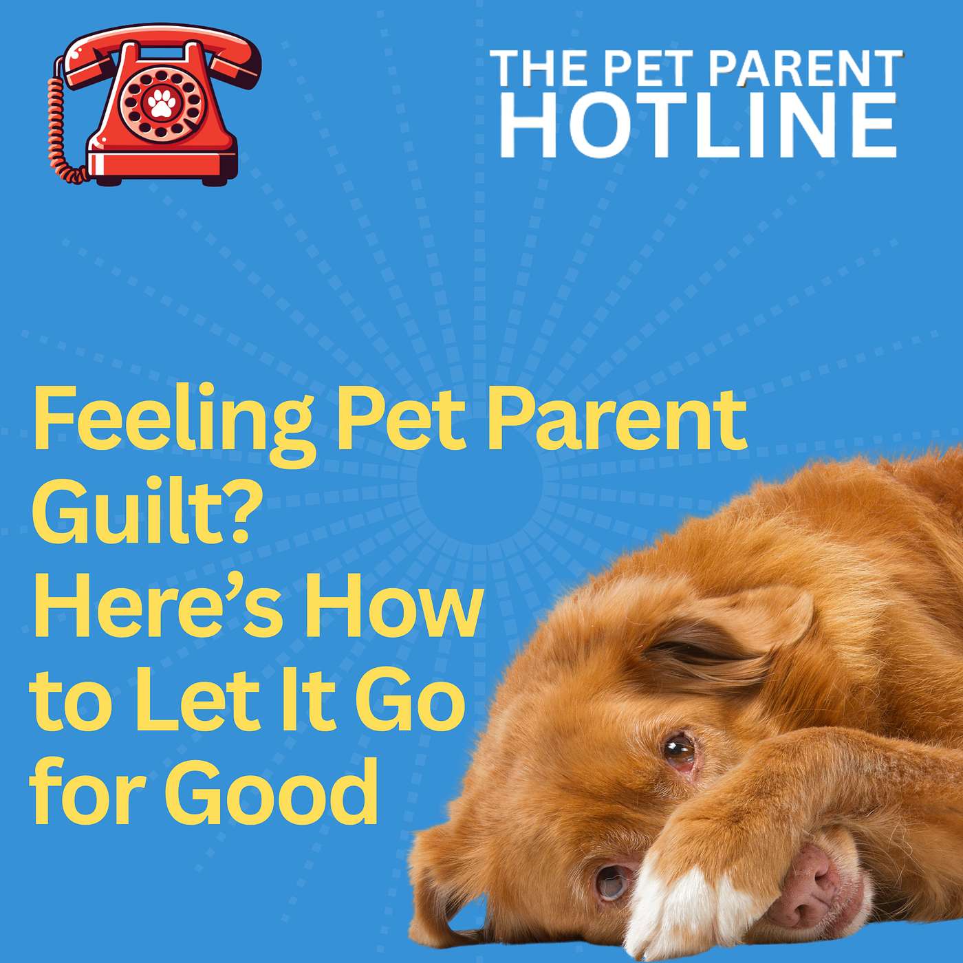 Feeling Pet Parent Guilt? Here’s How to Let It Go for Good