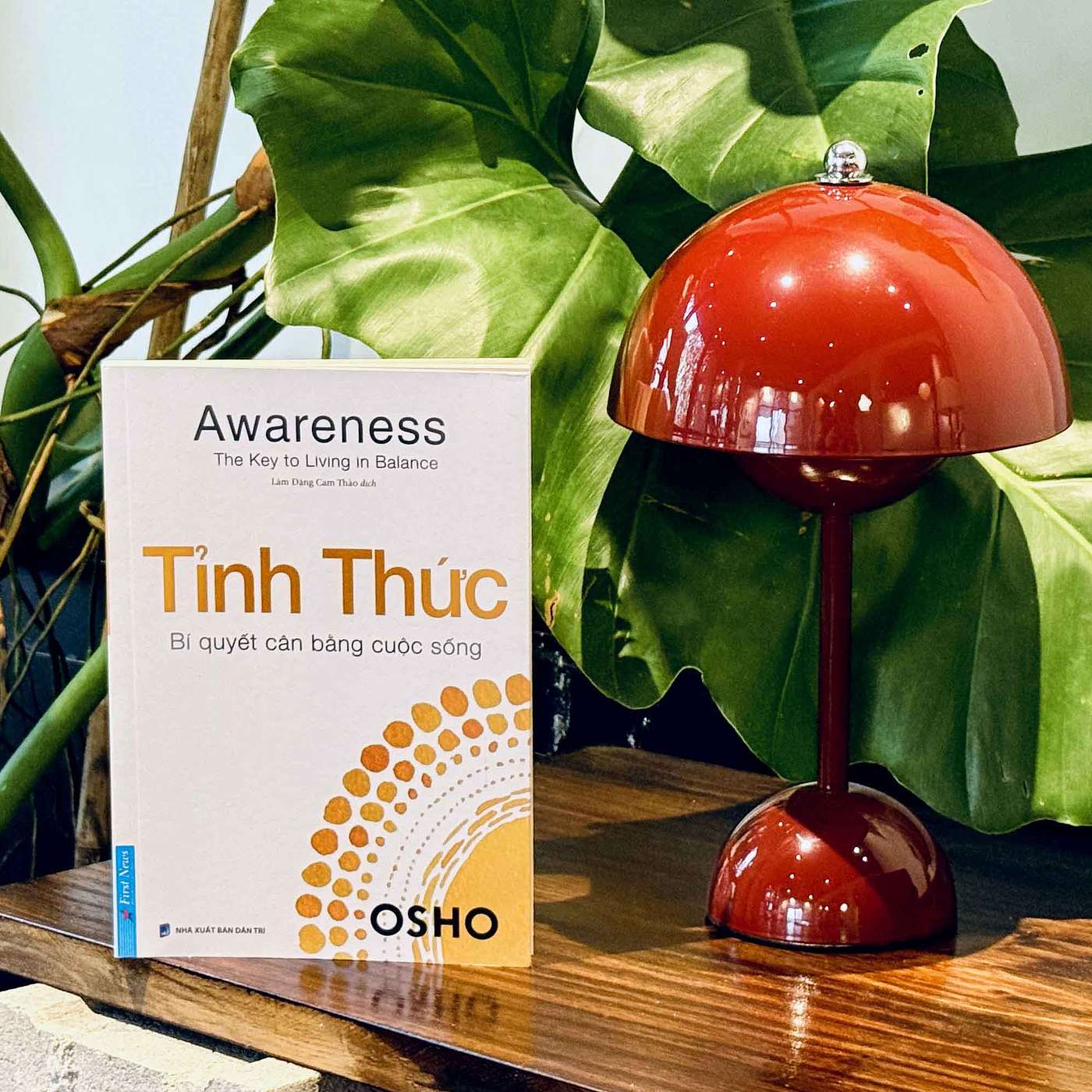 ‘Tỉnh thức’ - Chìa khóa mở ra cánh cửa của một đời sống toàn vẹn