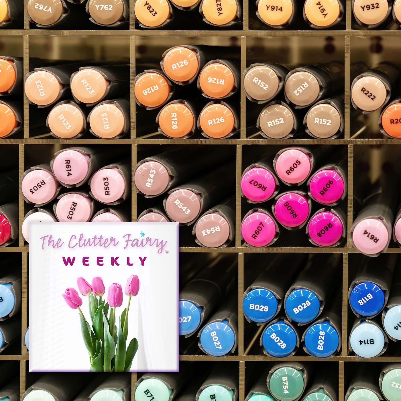 Ask Us Anything: Unfinished Projects, Micro-/Macro-organizers, Common Mistakes - The Clutter Fairy Weekly #142