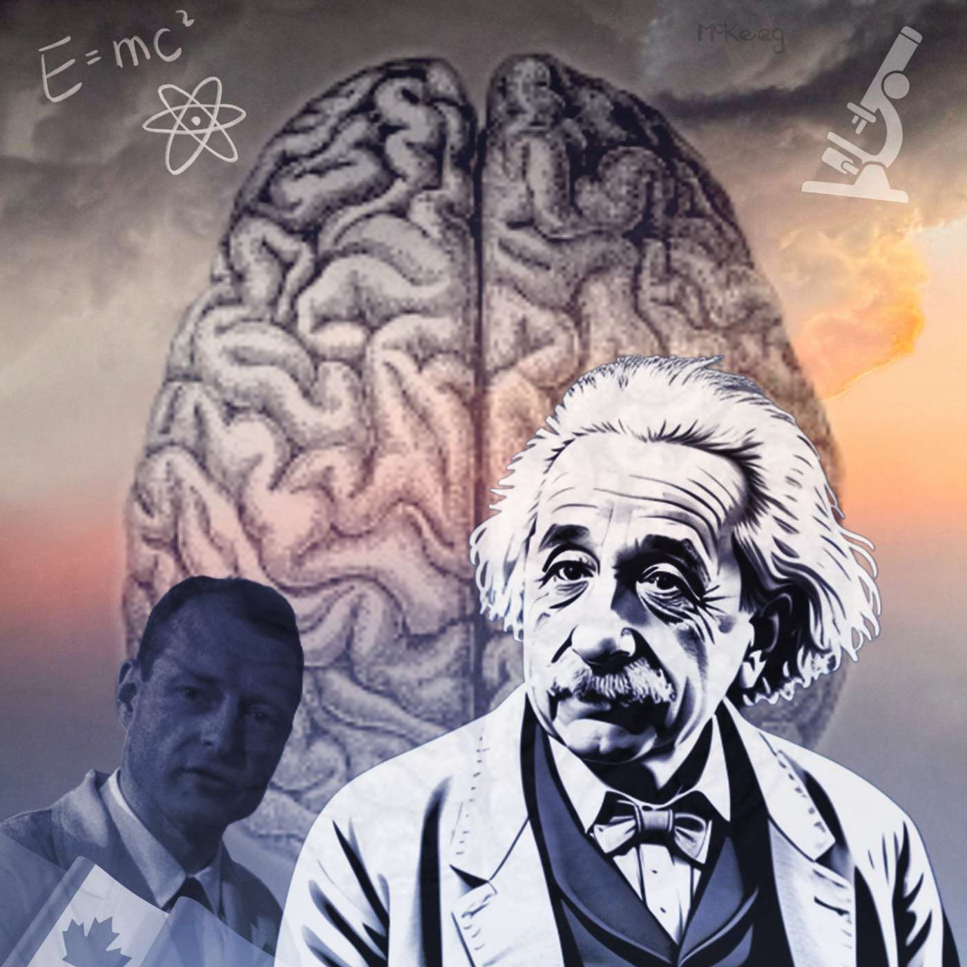 Preserving Genius: The Strange Tale of Einstein's Brain