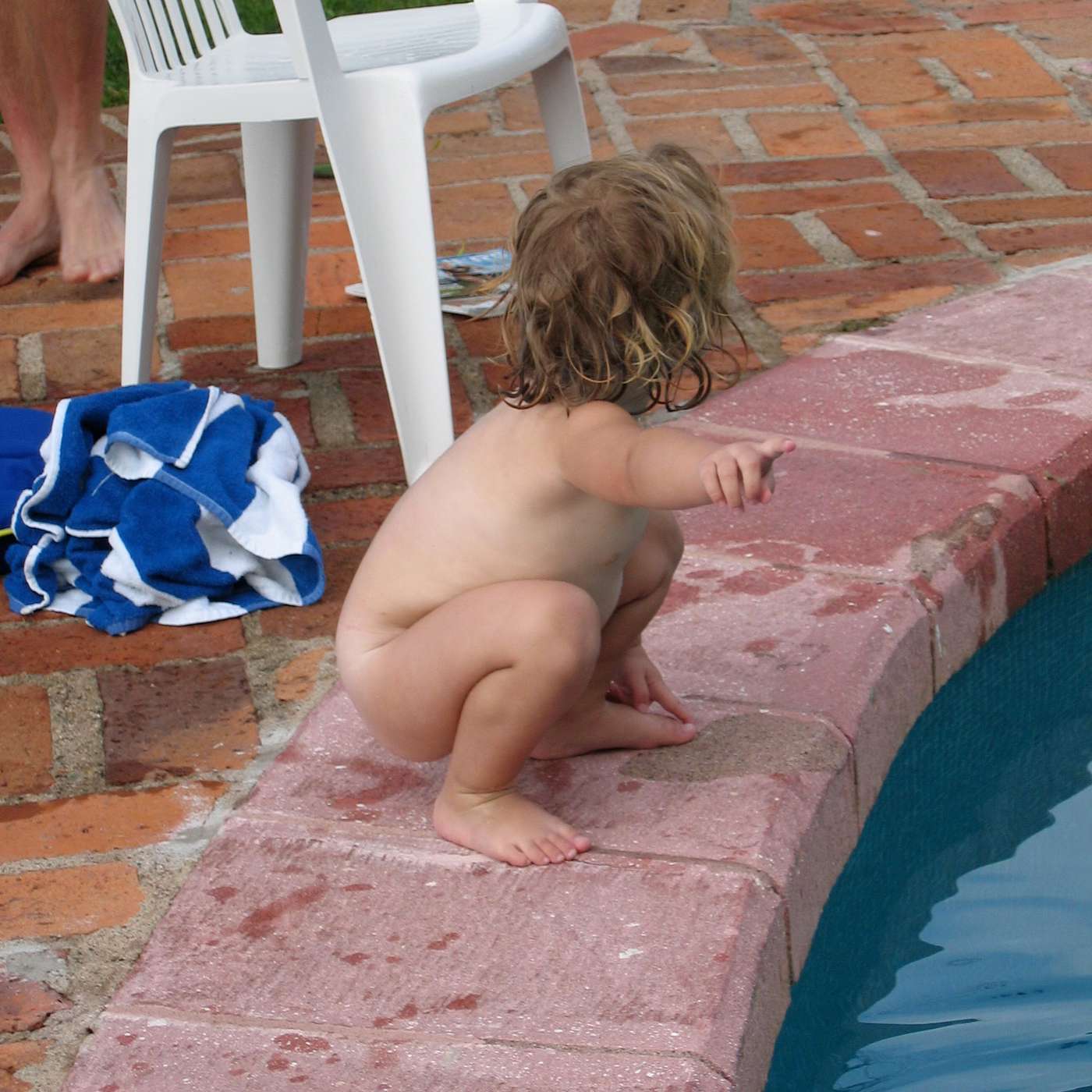 Creatures of the Wind