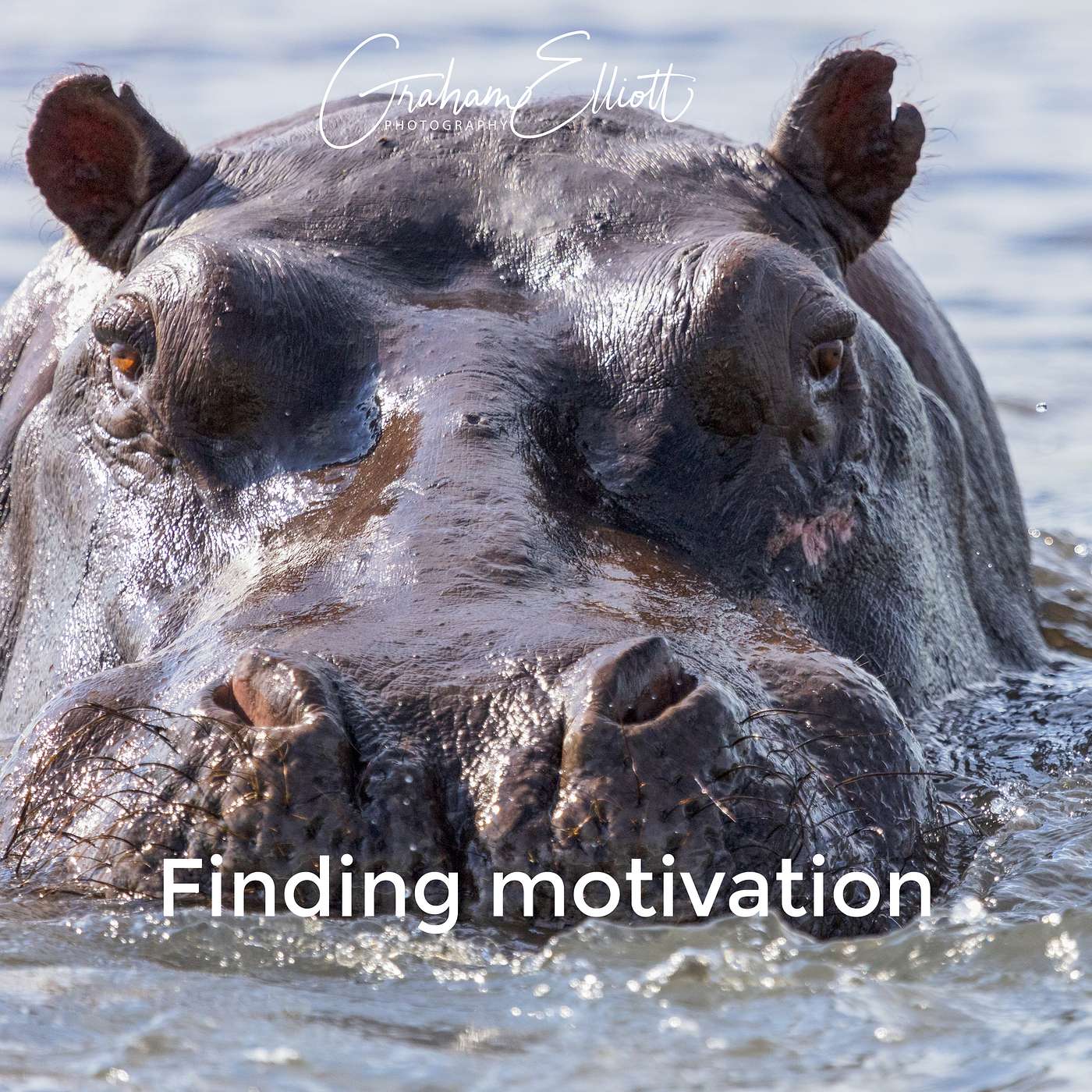 Wildlife and Adventure Photography
