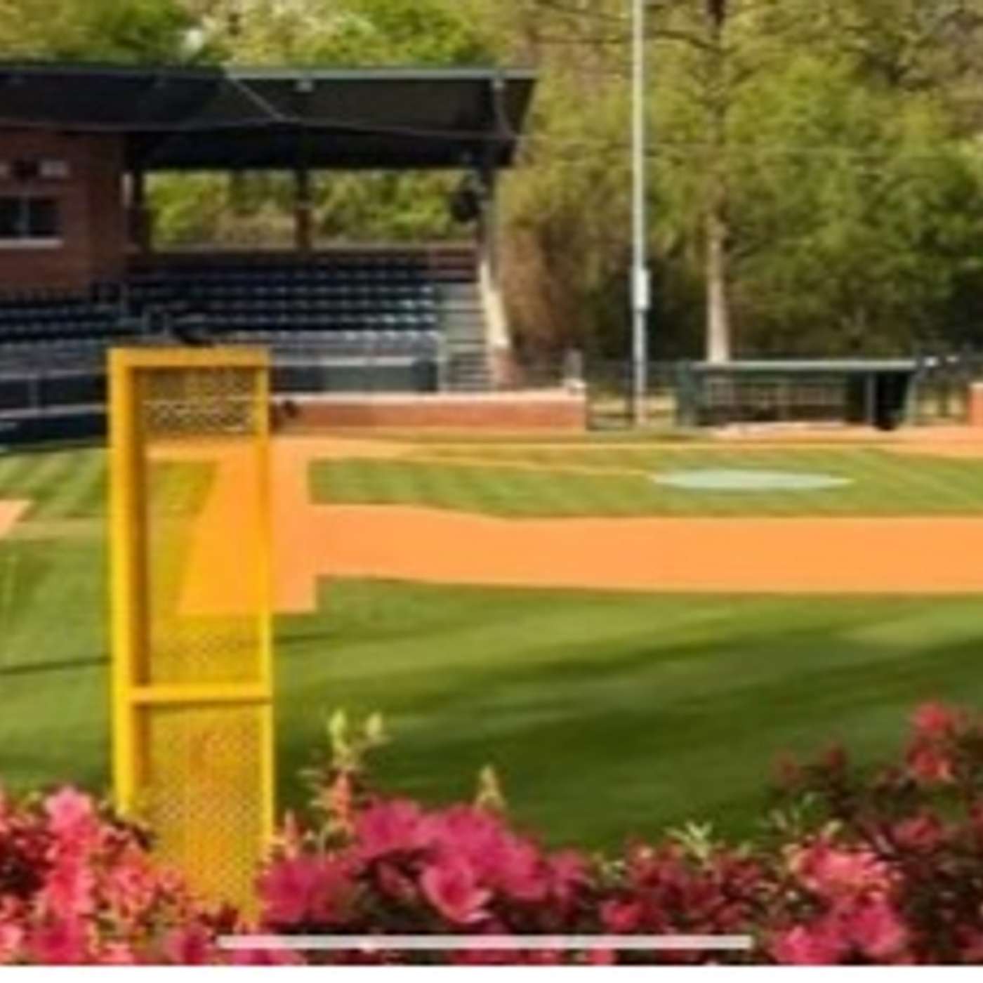 Fresh Cut Grass