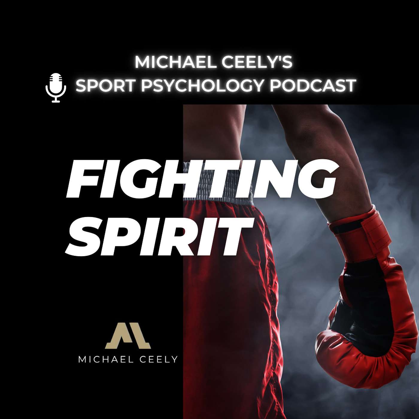 Michael Ceely\'s High Performance Podcast