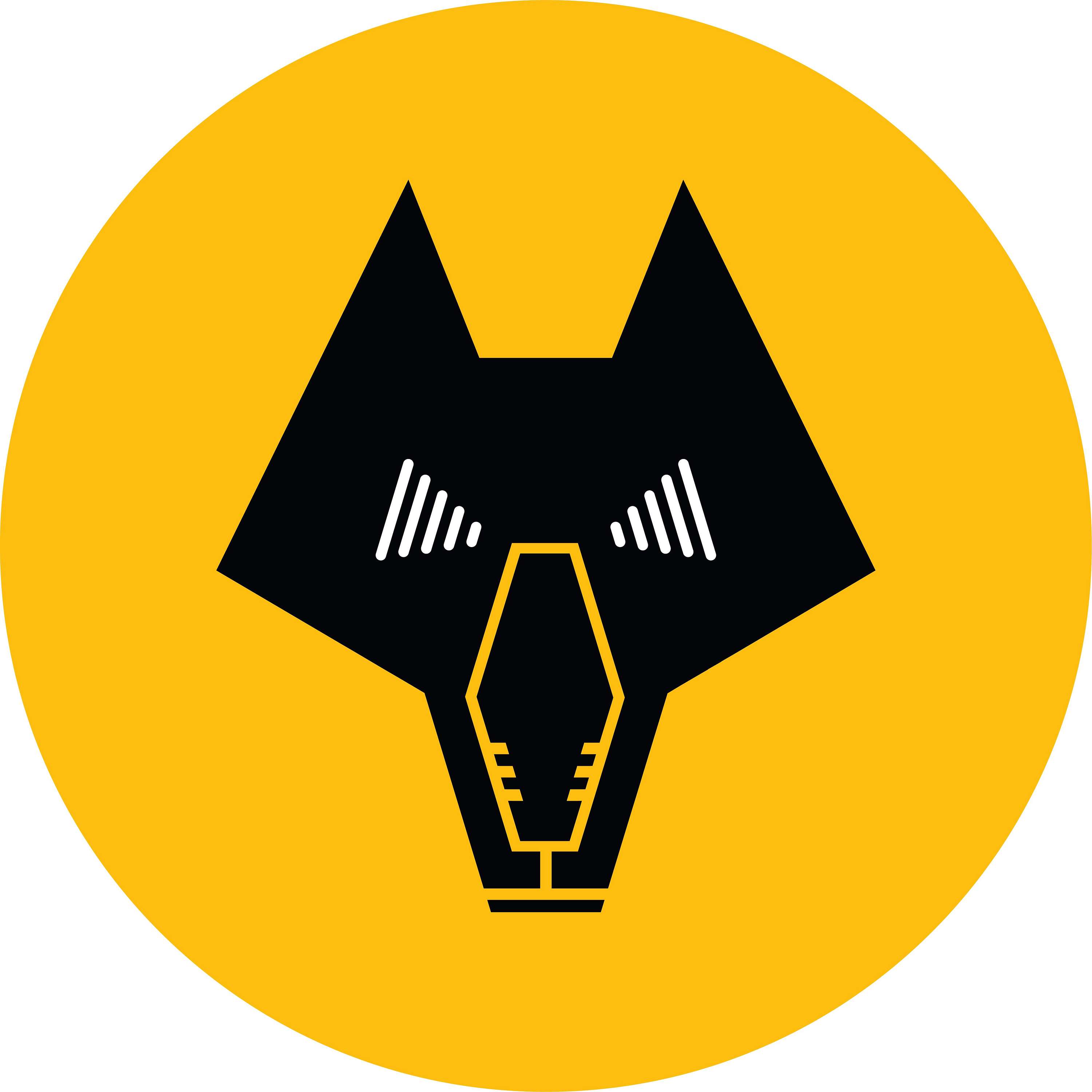 E&S Wolves Podcast