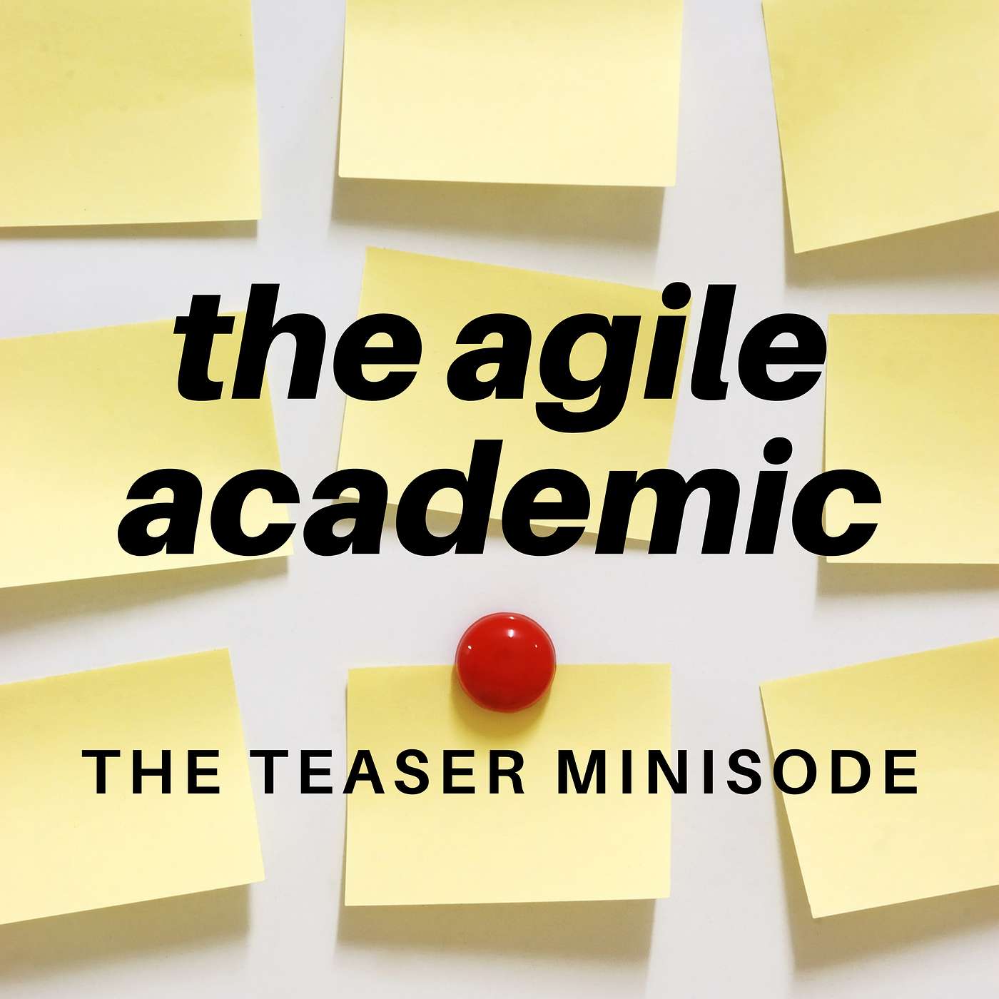 the agile academic