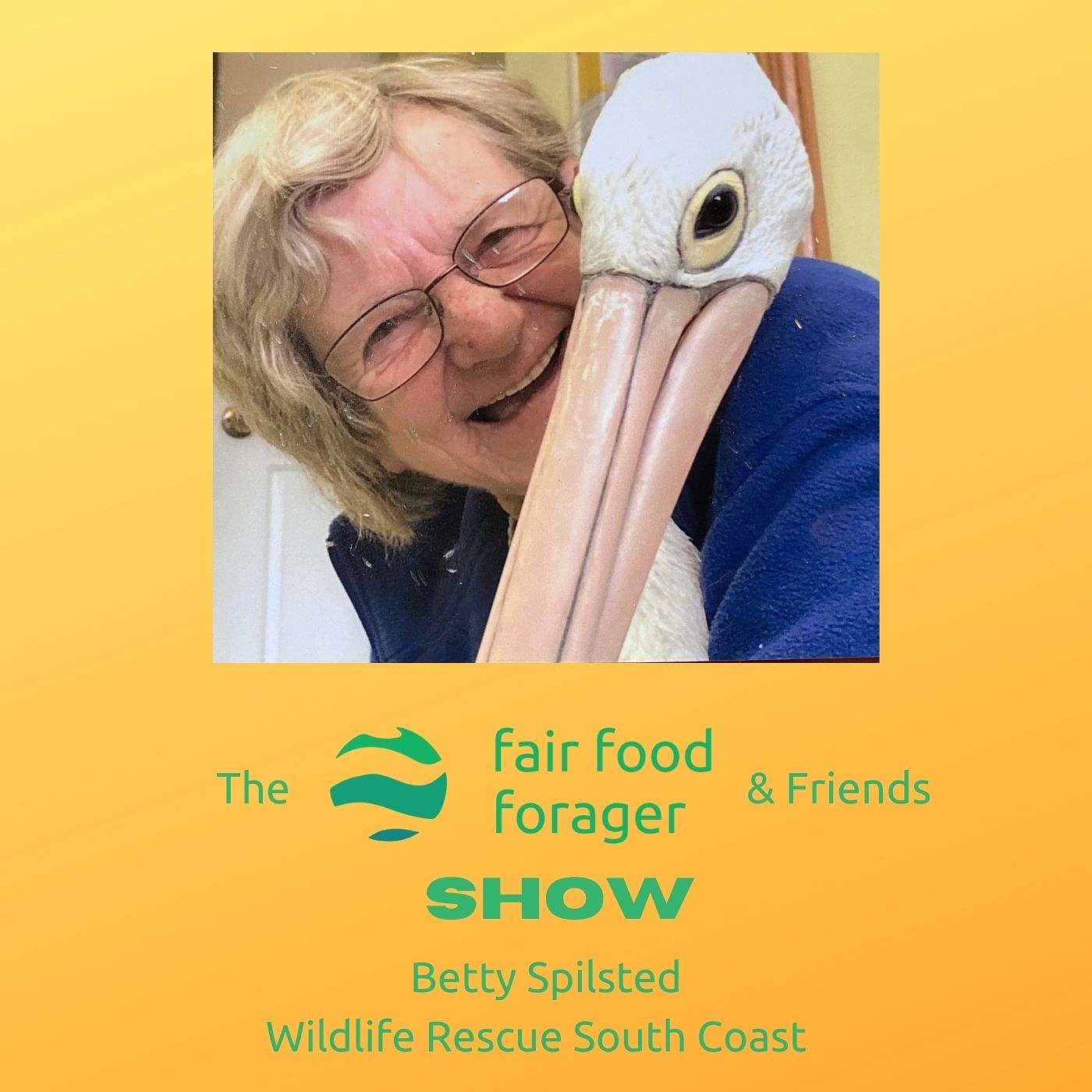#52 Betty Spilsted - Wildlife Rescue South Coast, a life of caring for seabirds