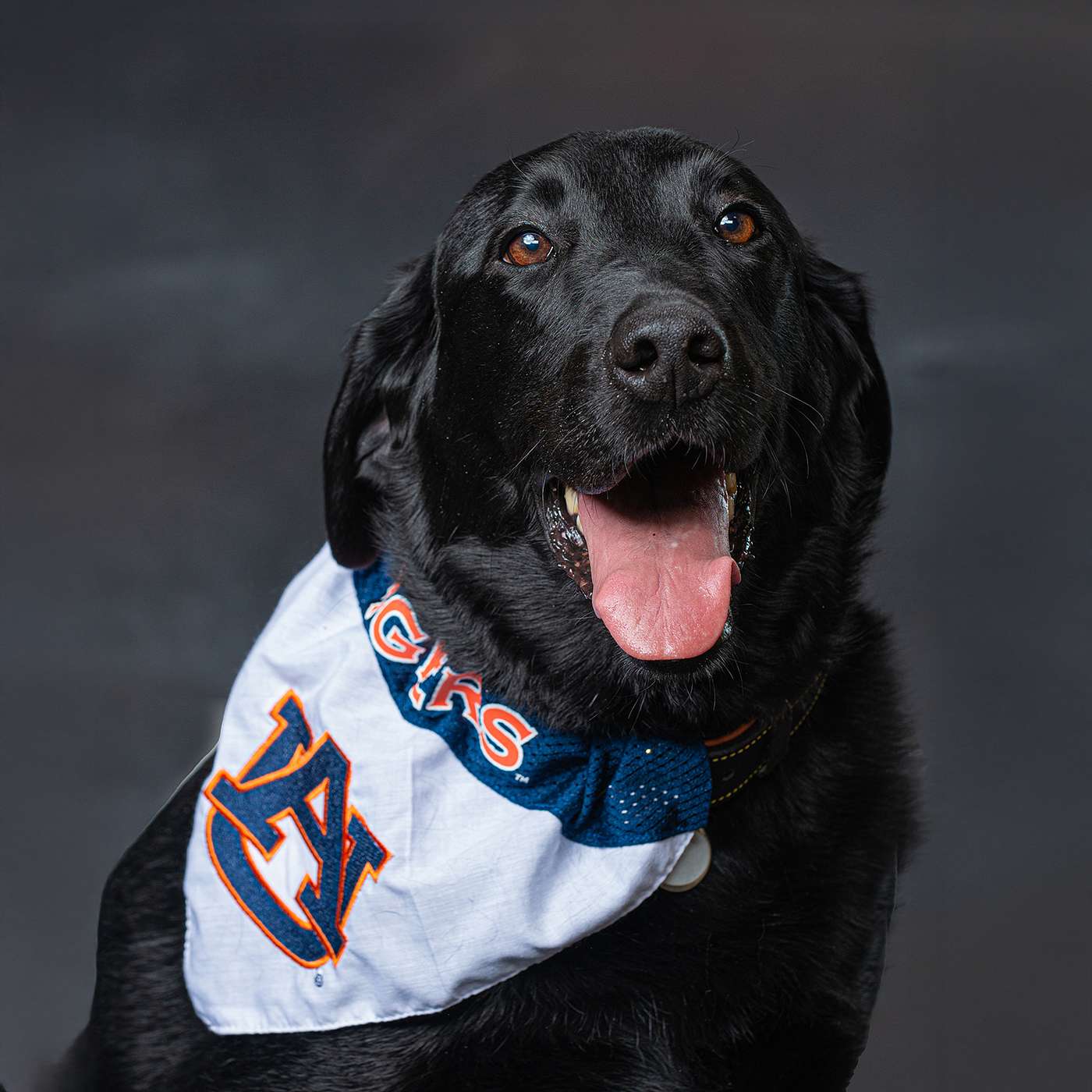 EVERYTHING AUBURN PODCAST