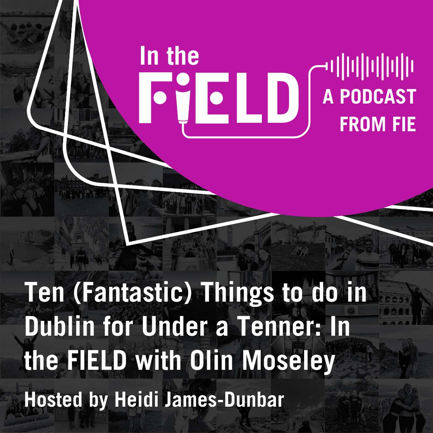 Ten (Brilliant) Things to do in Dublin for Under a Tenner: In the FIEld with Olin Moseley