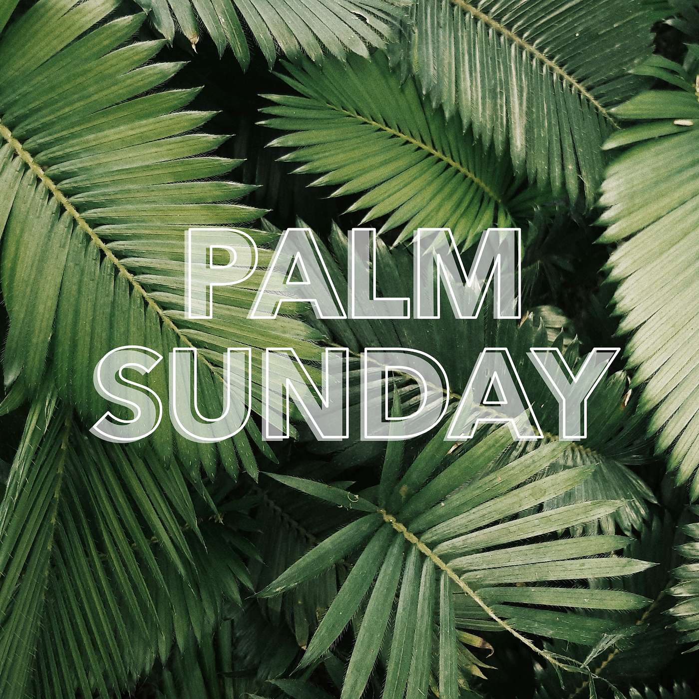 Palm Sunday 2026 episode artwork