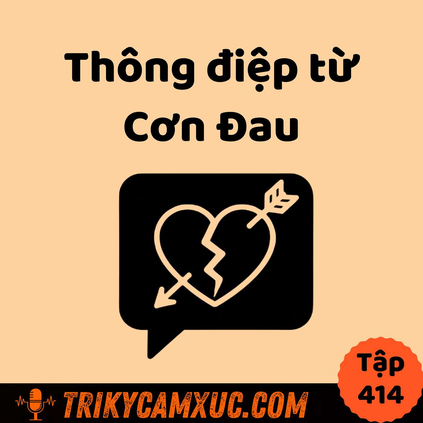 Thông Điệp Từ Cơn Đau - Tri Kỷ Cảm Xúc #414