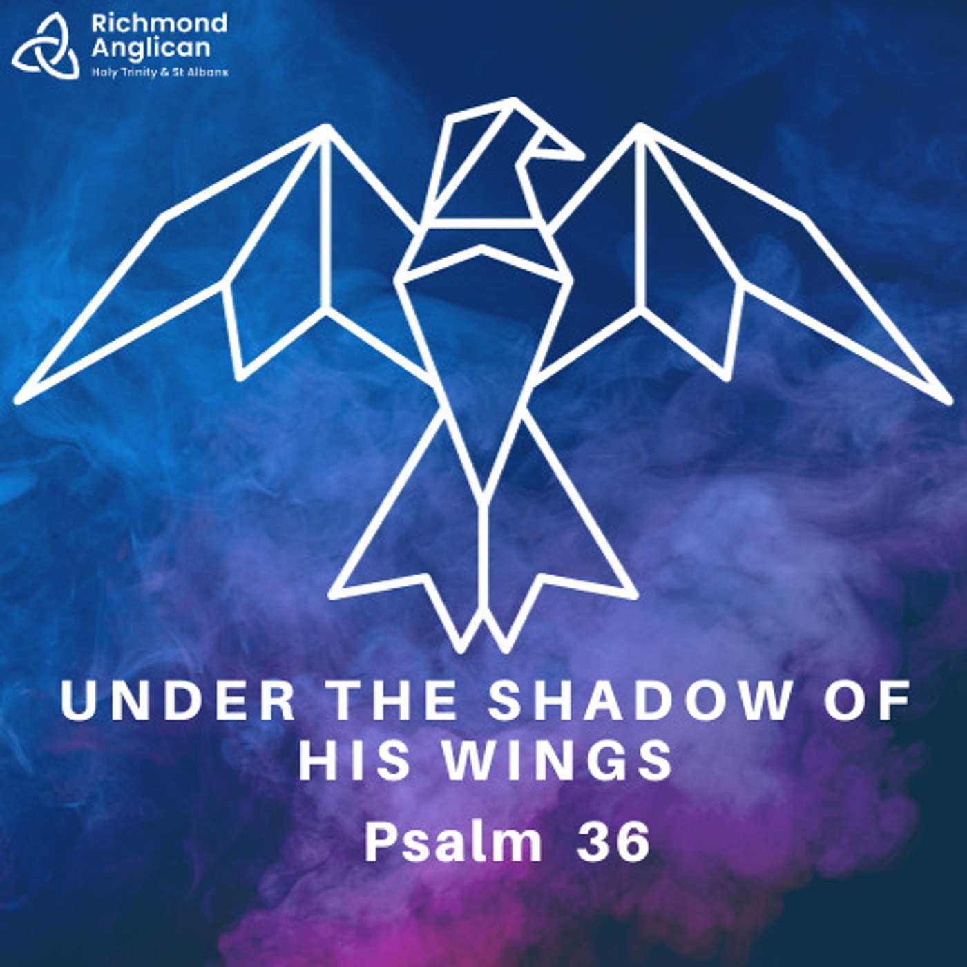 Under the Shadow of His Wings Psalm 36 By Zane Elliott Sunday 21st January 2024