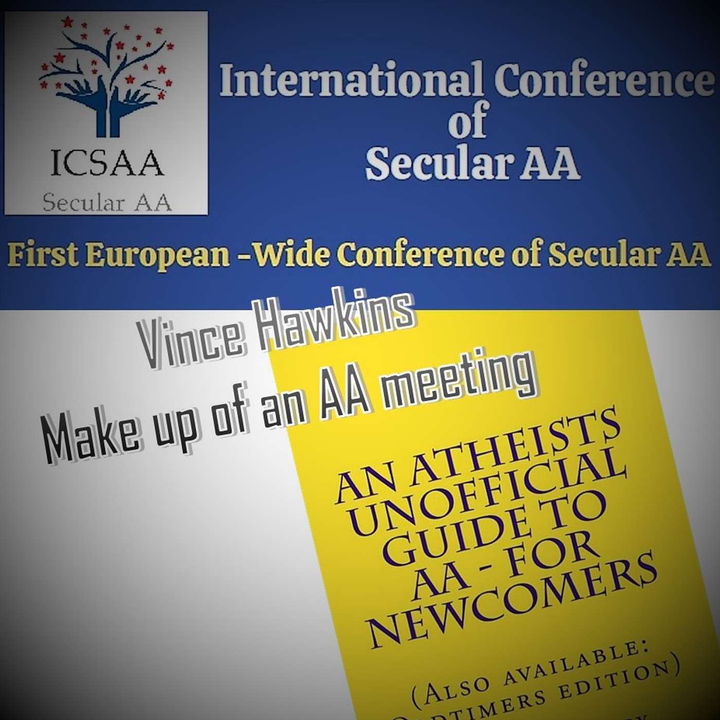 EURO ICSAA Vince H AA meeting structure