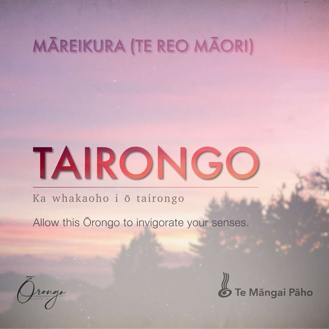 TAIRONGO - Māreikura (Te Reo Māori)