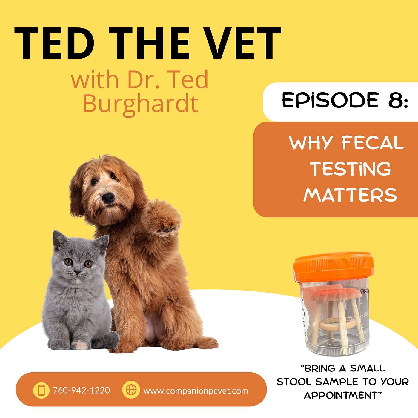 Ted The Vet : Expert Advice and Insightful Tips to Care for your Pets