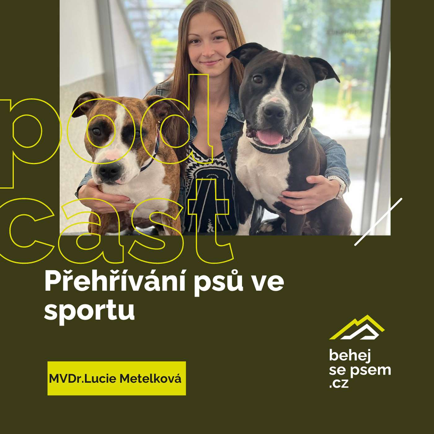 Běhejsepsem.cz