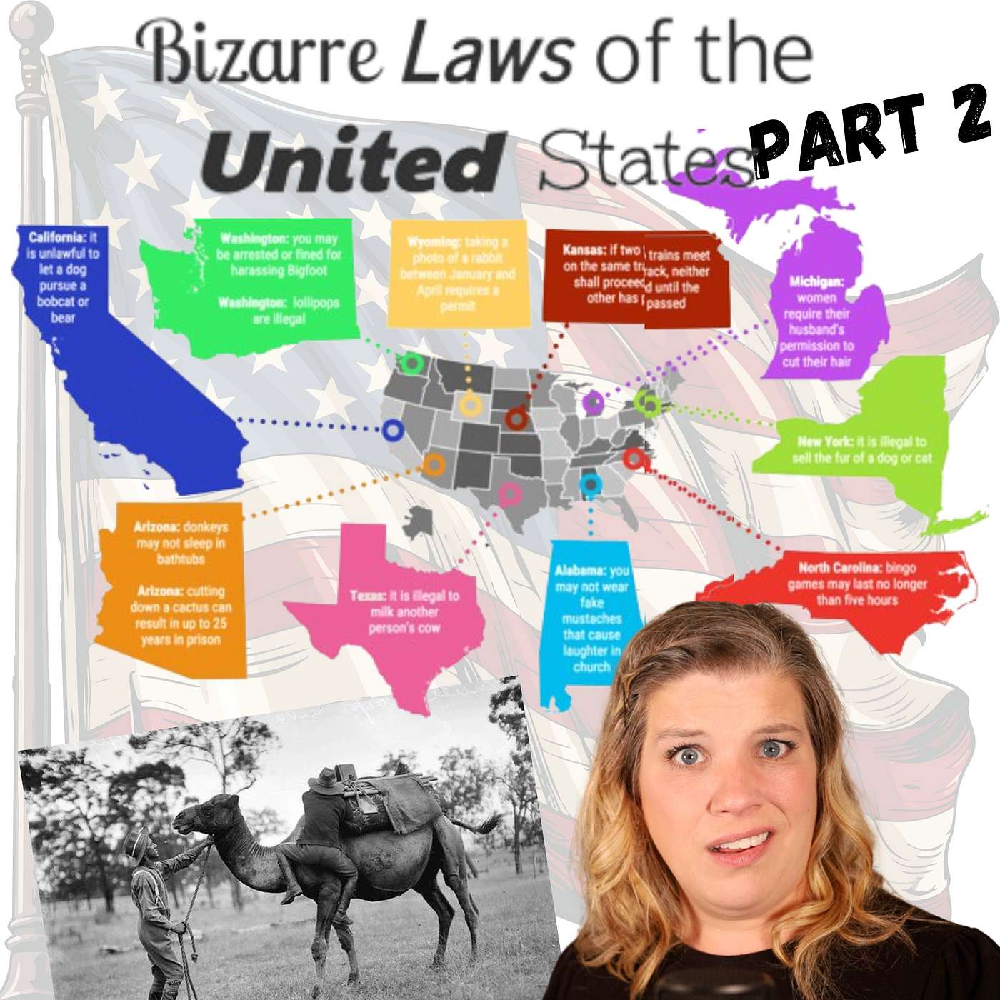 Crazy Stories Behind the Weirdest Laws In the US PART 2 How Every States Craziest Laws Came To Be