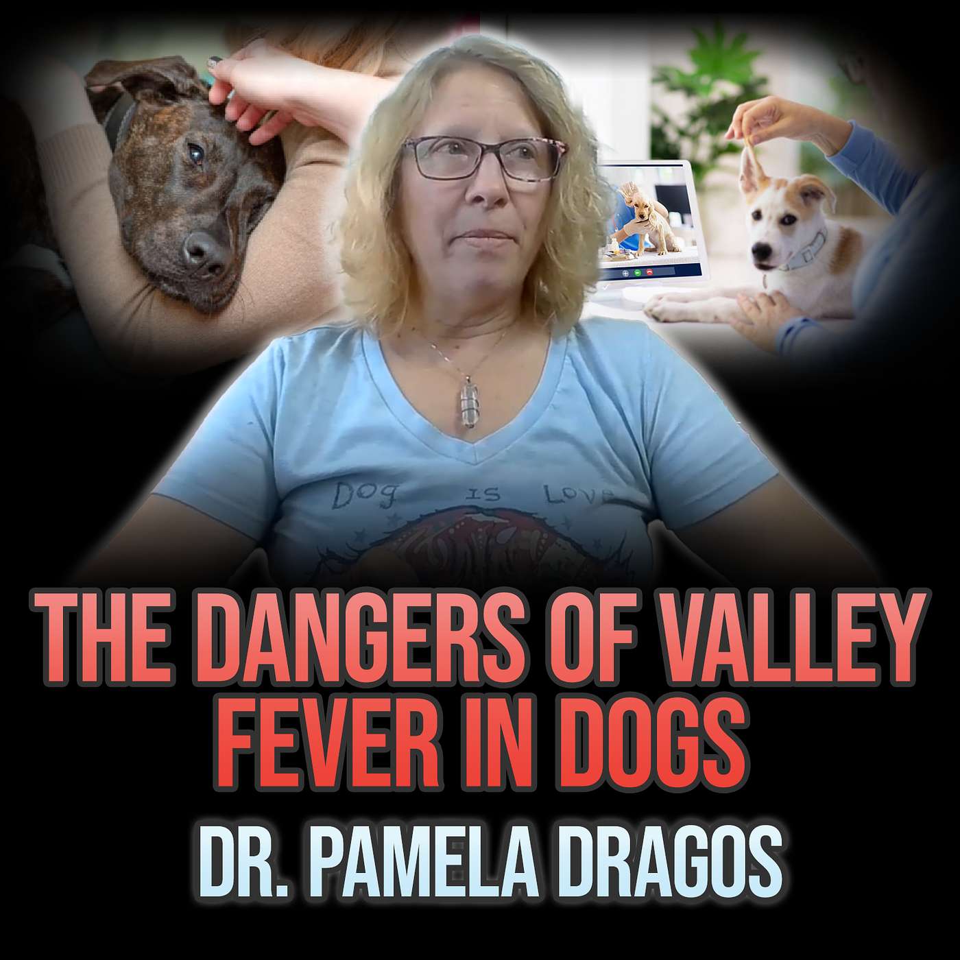 The Dangers of Valley Fever in Dogs - with Dr. Pamela Dragos