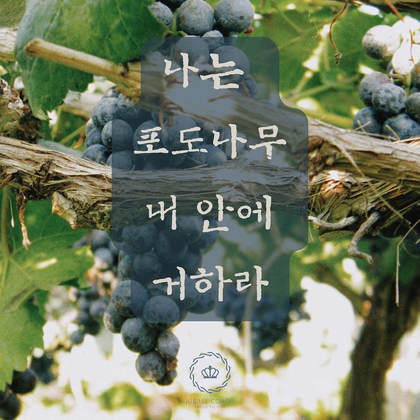 찬양: 나는 포도나무: 내 안에 거하라 (요한복음 15장) episode artwork