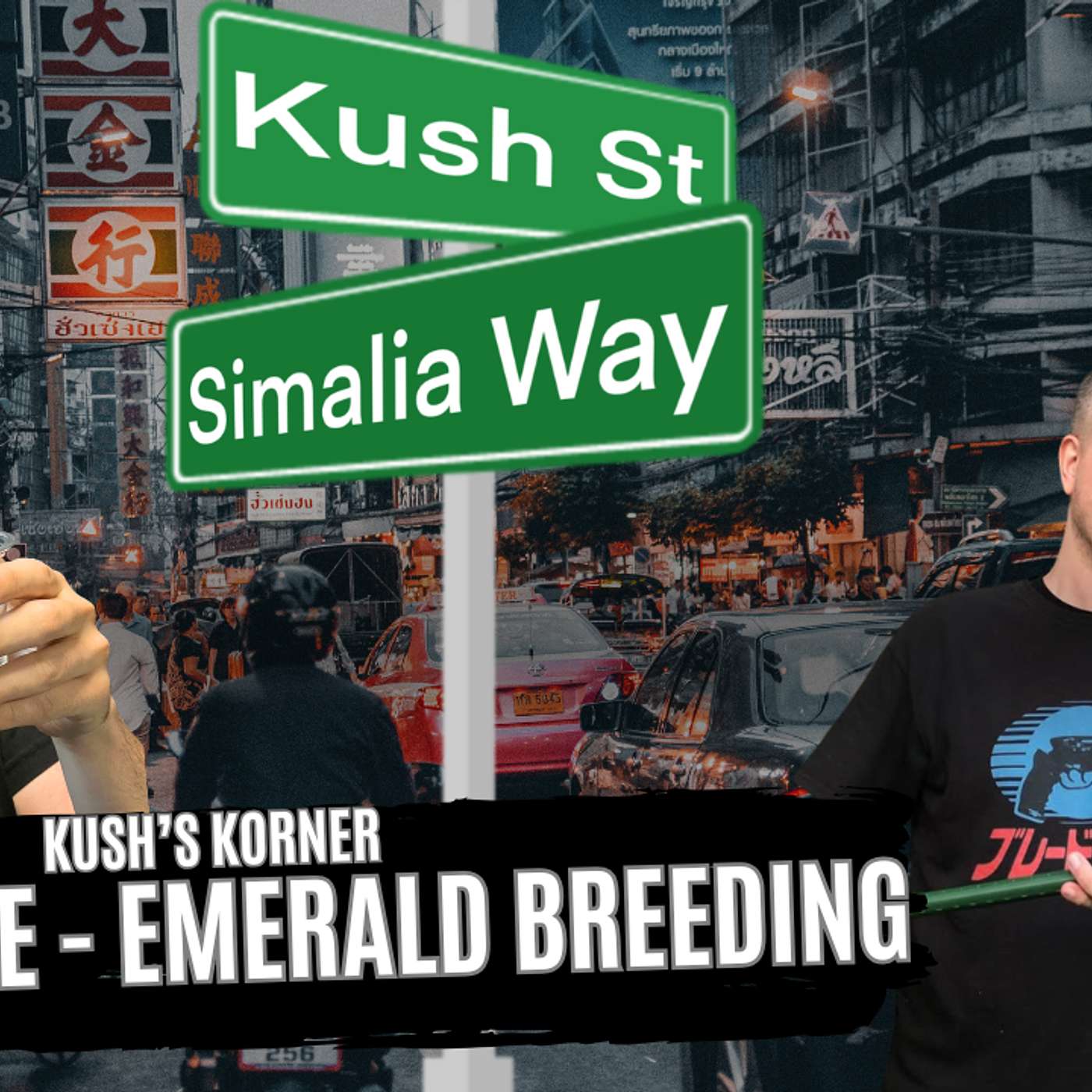 HOW CHRIS RICE PRODUCED MULTIPLE LITTERS OF EMERALD TREE BOAS IN 2024 | KUSH'S KORNER LIVE