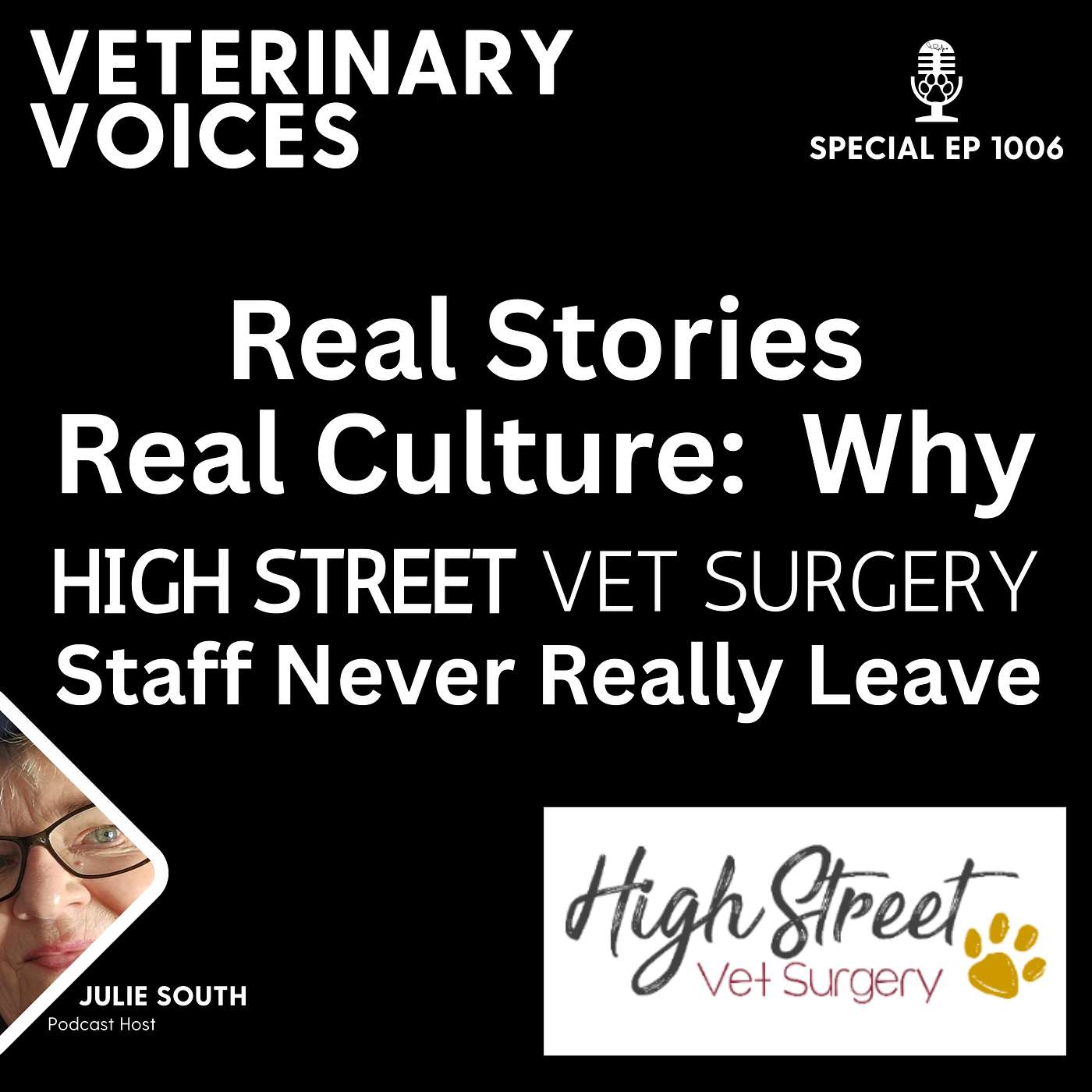 High Street Vet Surgery - Real Stories, Real Culture: Why High Street Vets Staff Never Really Leave - ep. 1006