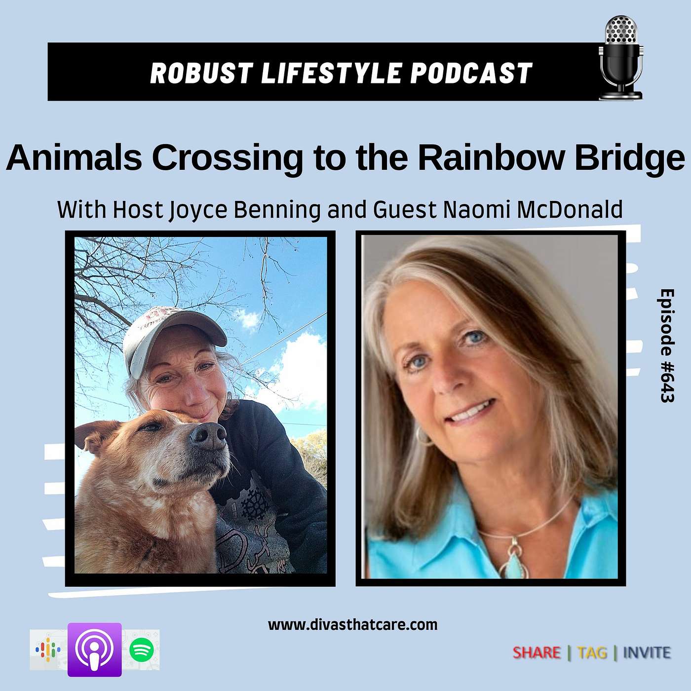 Animals Crossing To The Rainbow Bridge episode artwork