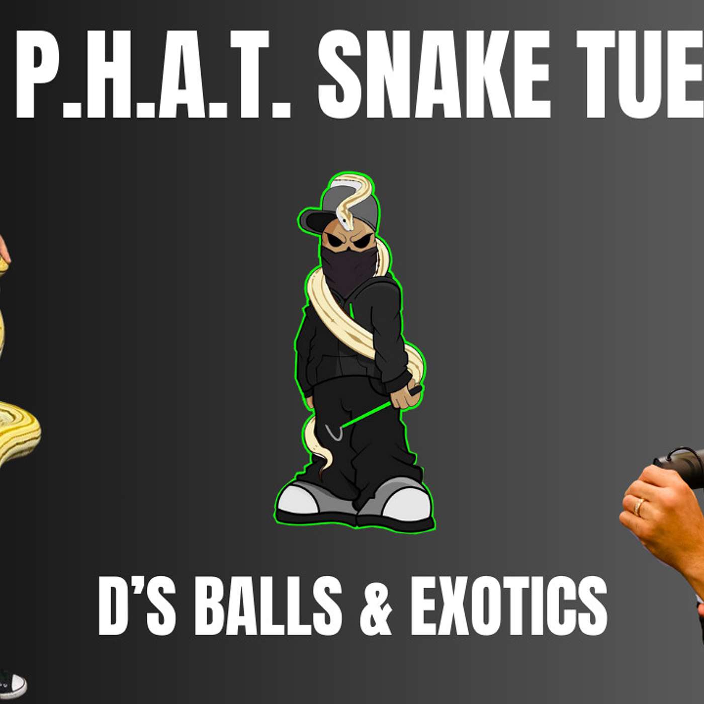 The REAL reason why Dillon parted ways from Reticulated Pythons | D's Balls & Exotics