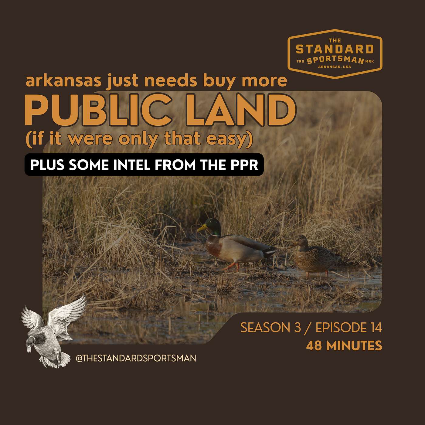 More Public Land, More Ducks? episode artwork