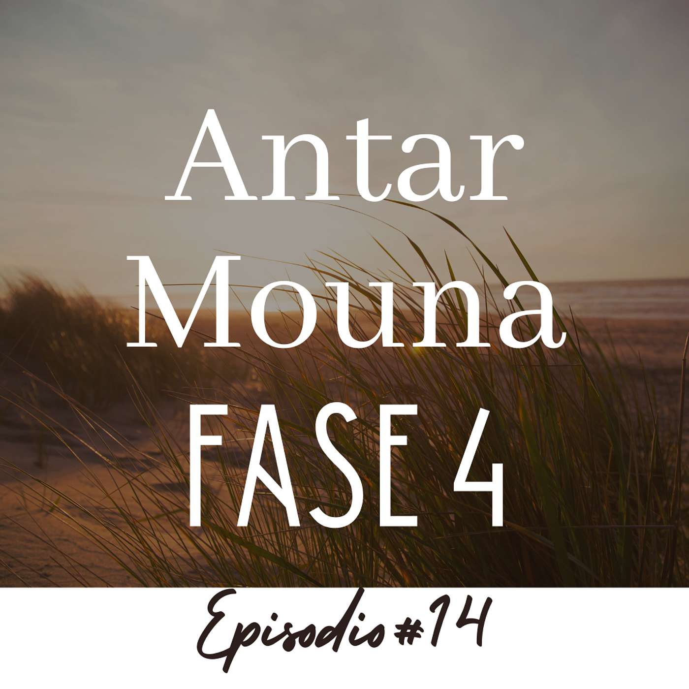 Antar Mouna Fase 4: Calma la mente y suelta pensamientos Antar Mouna Fase 4: Calma la mente y suelta pensamientos