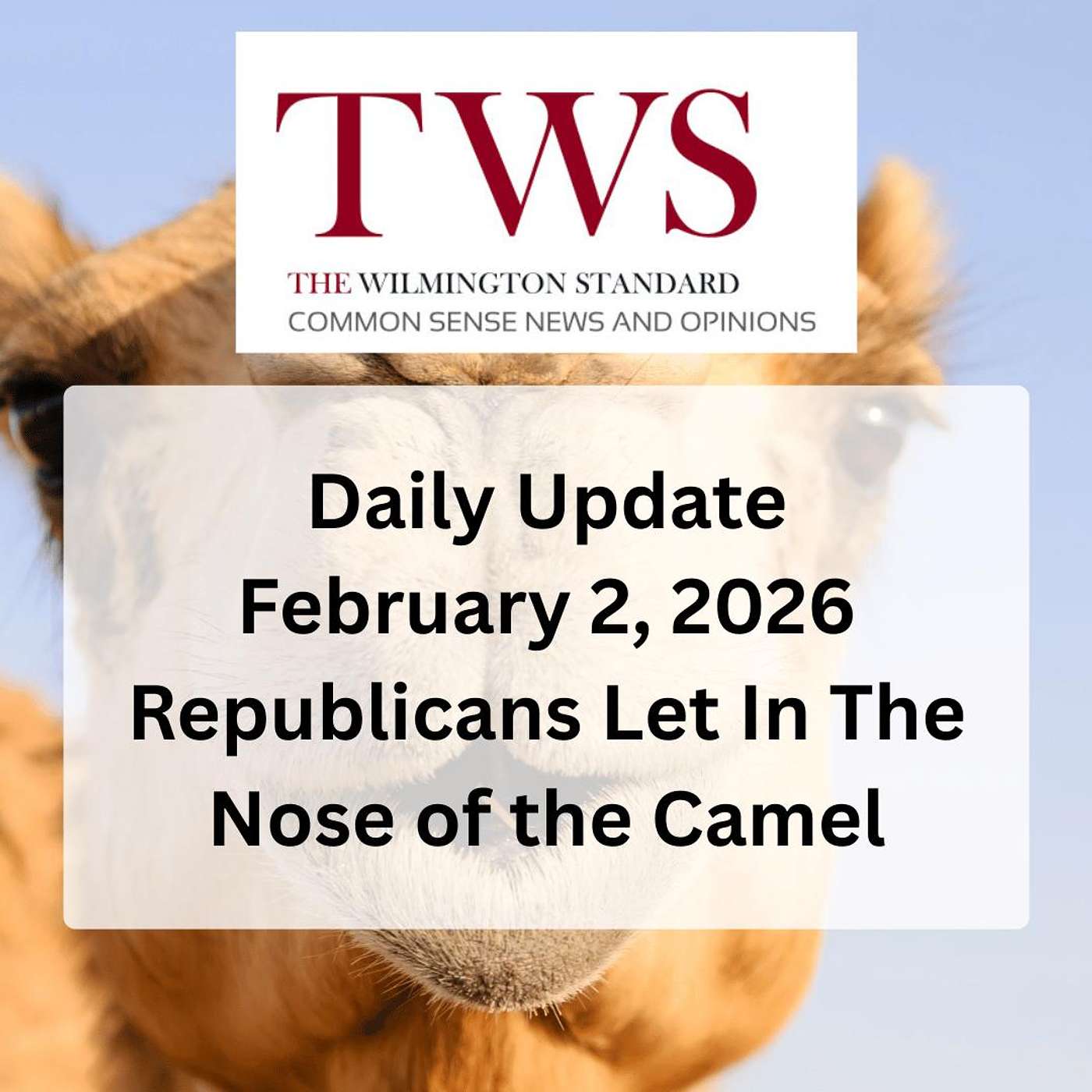 The Wilmington Standard Daily Update February 2, 2026 episode artwork