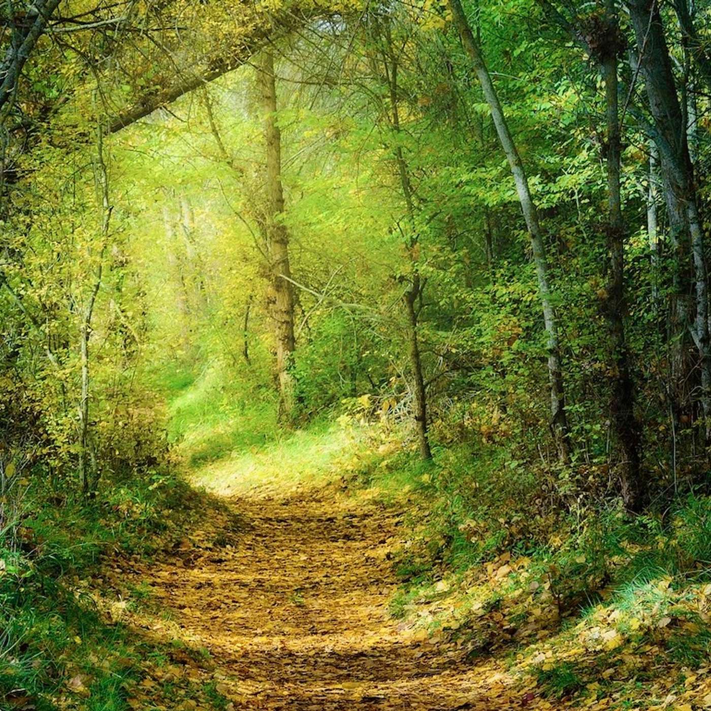 Heaven on Earth Mini Meditations